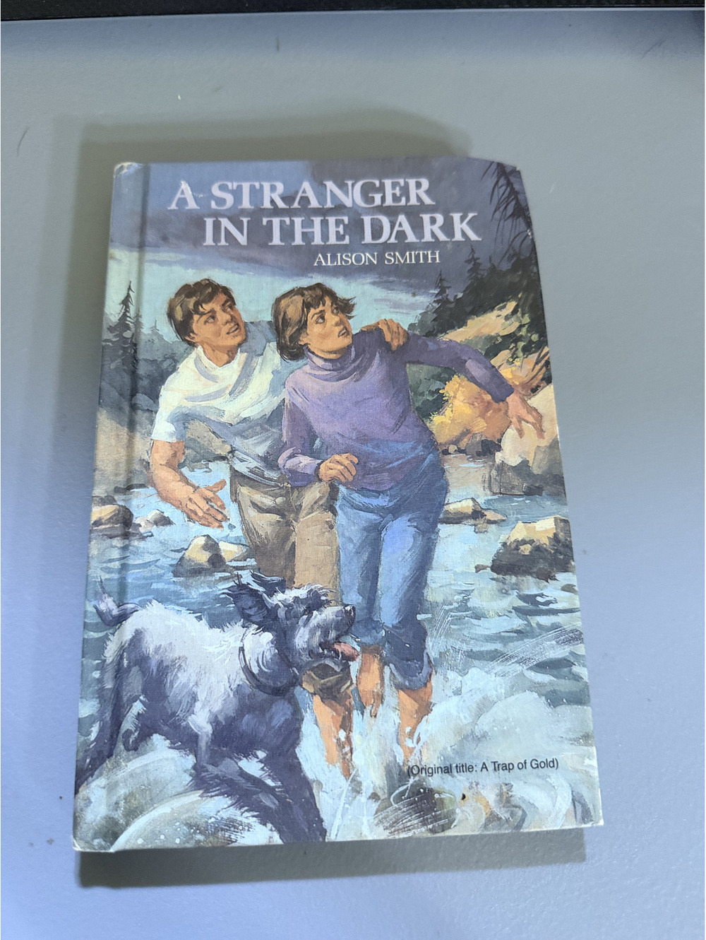 A Stranger in the Dark Alison Smith 1985 Hardcover Weekly Reader Book Club YA HB
